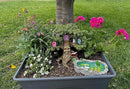 GlitZGlam Duck Pond -Mother and Ducklings! A Miniature Duck Pond for a Miniature Fairy Garden and Miniature Garden Accessories by GreenHaven Gardens