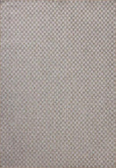 Loloi Amber Lewis Topanga Collection TOP-02 Natural/Silver 5'-3" x 7'-6" Indoor/Outdoor Area Rug by CozyNest Decor