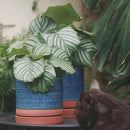 6 + 8 Inch Plant Pots, Ceramic Planter Pot with Drainage Hole & Saucer, Indoor/Outdoor Cylinder Round Planter Pot, Aqua Blue & Terracotta by GreenHaven Gardens
