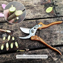 TONMA Bypass Pruning Shears [Made in Japan] 8 inches Professional Garden Shears, Japanese Secateurs Hand Pruner Hedge Clippers, Aluminum Alloy Handle by GreenHaven Gardens