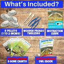 Amazing Owl Pellet Dissection Kit 5-Piece Set for Science Lab Projects Includes Tweezers and Wooden Probes Ideal for Ages 15 & Older Barn Owl eBook Included by TinyTreasures Baby Boutique