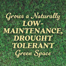 O.M. Scott and Sons Clover Seed, Lawn Seed Grows a Naturally Low Maintenance, Drought-Tolerant Lawn, 1,000 sq. ft., 2 lb., 2-Pack by GreenHaven Gardens