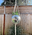 Hanging Disco Ball Planter 8" - with Acrylic Stand and Macrame Plant Hanger - Home Décor, Room Décor, Patio or Boho Décor, Mirror Disco Planter, Disco Decor (8" No Base) by GreenHaven Gardens