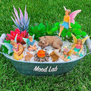 Mood Lab Fairy Garden - Miniature Fairies Figurines Accessories - Camping Kit of 9 pcs - Set for Outdoor or House Decor by CozyNest Decor