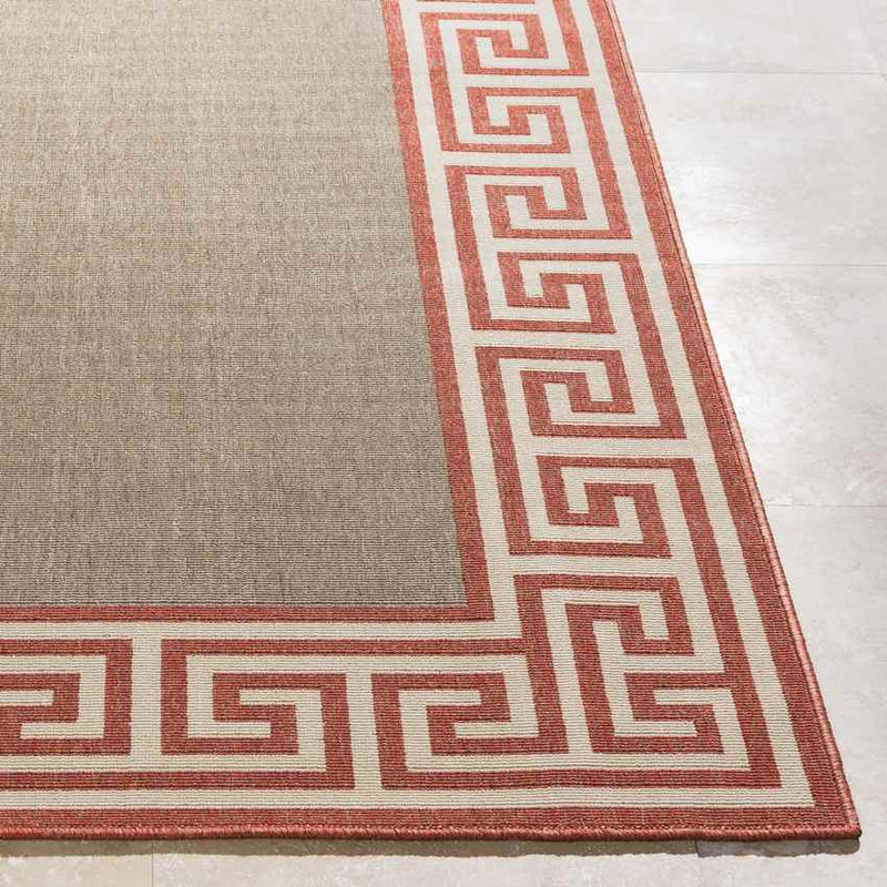 Arya Cottage Rust Area Rug