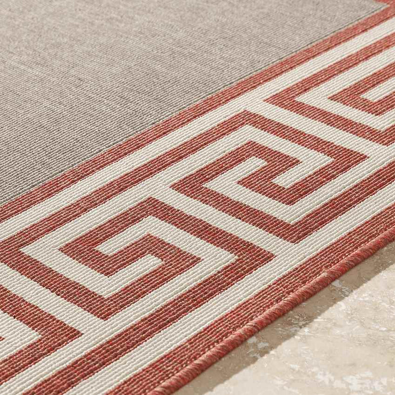 Arya Cottage Rust Area Rug