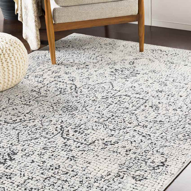 Lachan Traditional White/Grey Area Rug