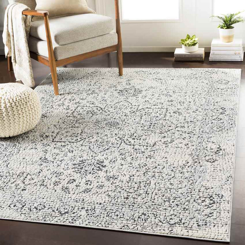 Lachan Traditional White/Grey Area Rug