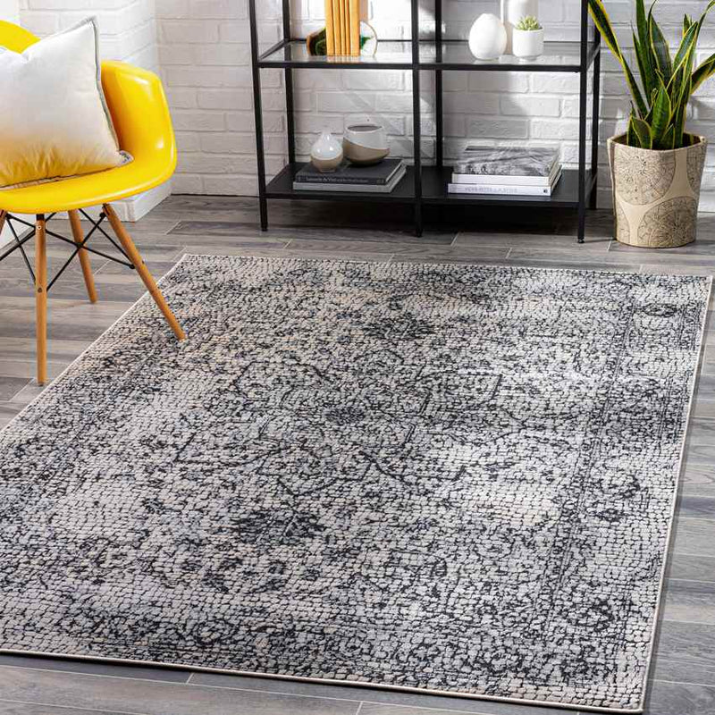 Lachan Traditional White/Grey Area Rug