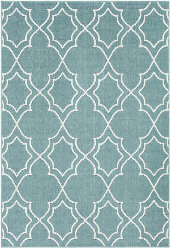 Liam Cottage Teal Area Rug