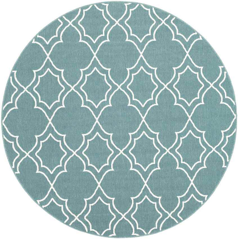 Liam Cottage Teal Area Rug