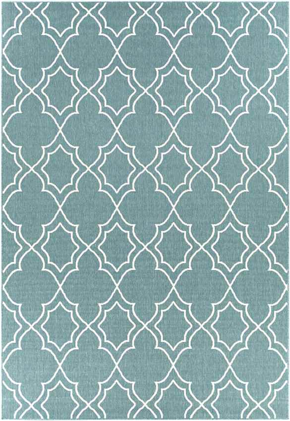 Liam Cottage Teal Area Rug