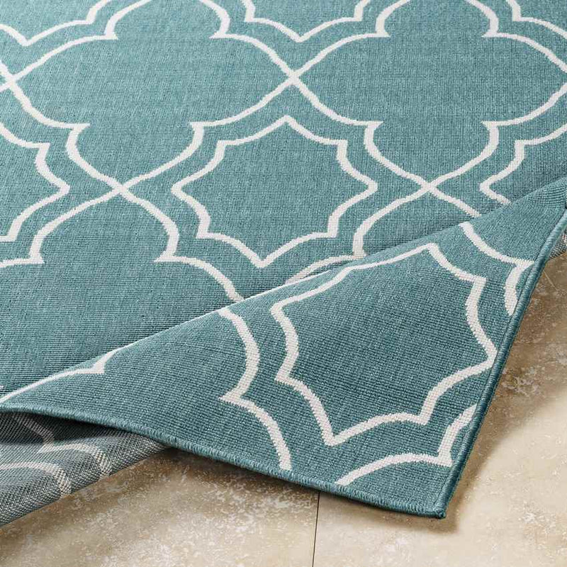 Liam Cottage Teal Area Rug