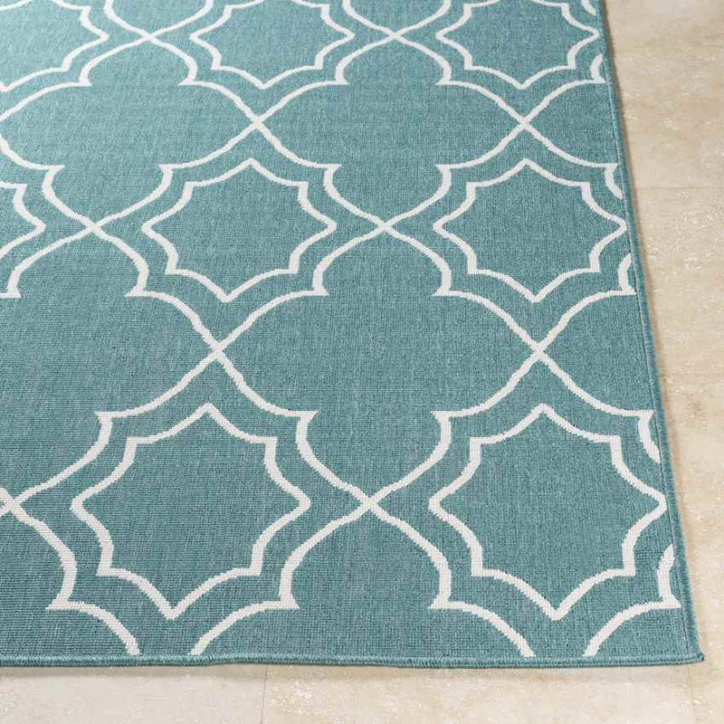 Liam Cottage Teal Area Rug