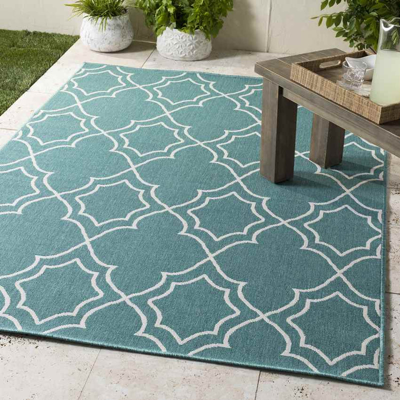 Liam Cottage Teal Area Rug