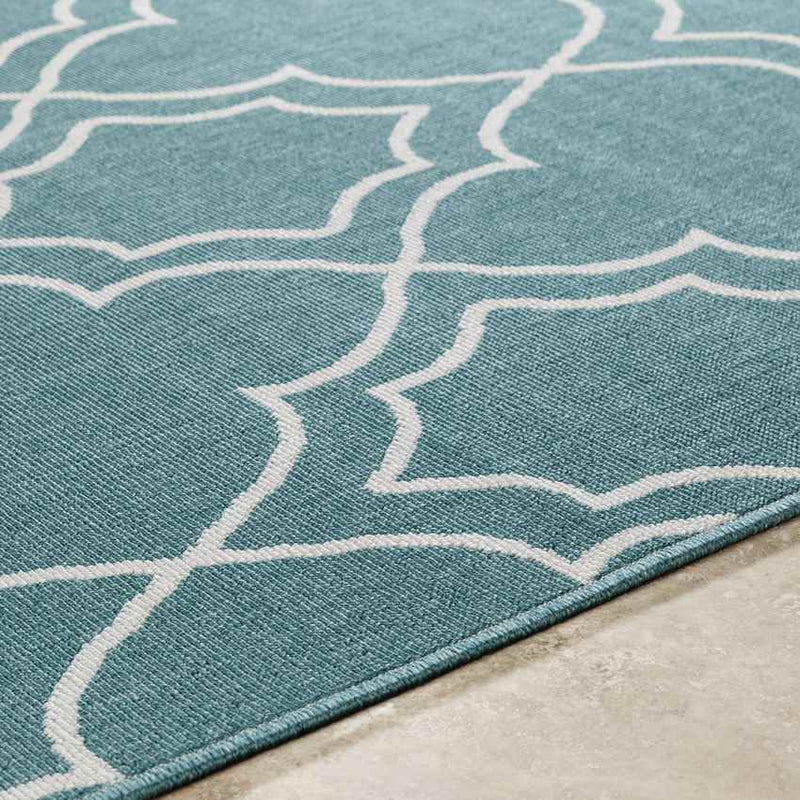 Liam Cottage Teal Area Rug