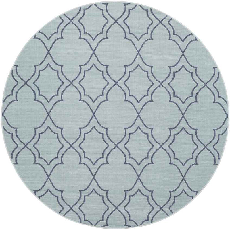 Liam Cottage Aqua Area Rug