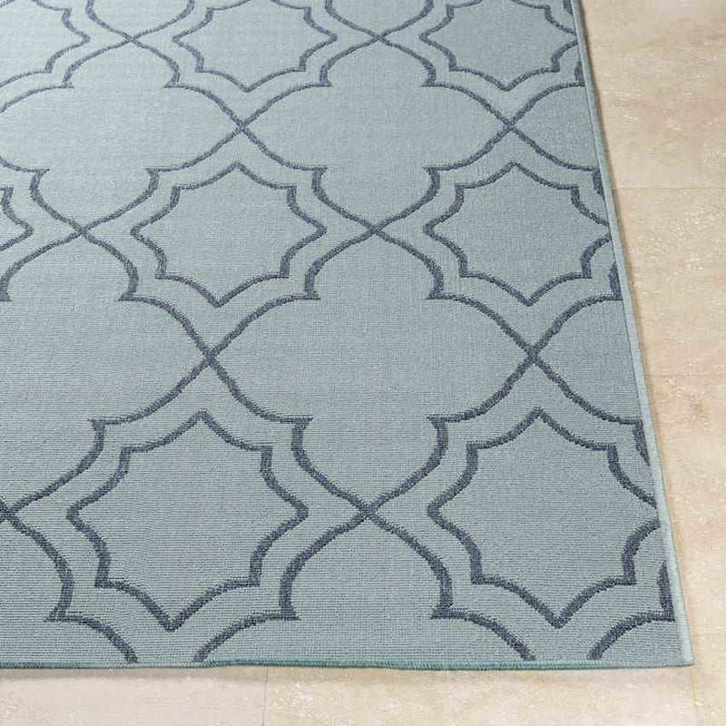 Liam Cottage Aqua Area Rug