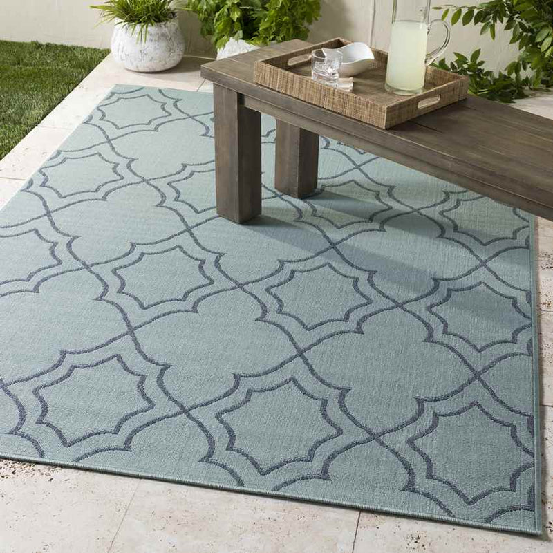 Liam Cottage Aqua Area Rug