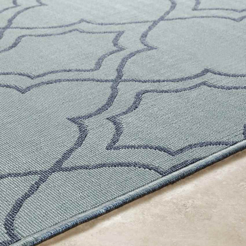 Liam Cottage Aqua Area Rug