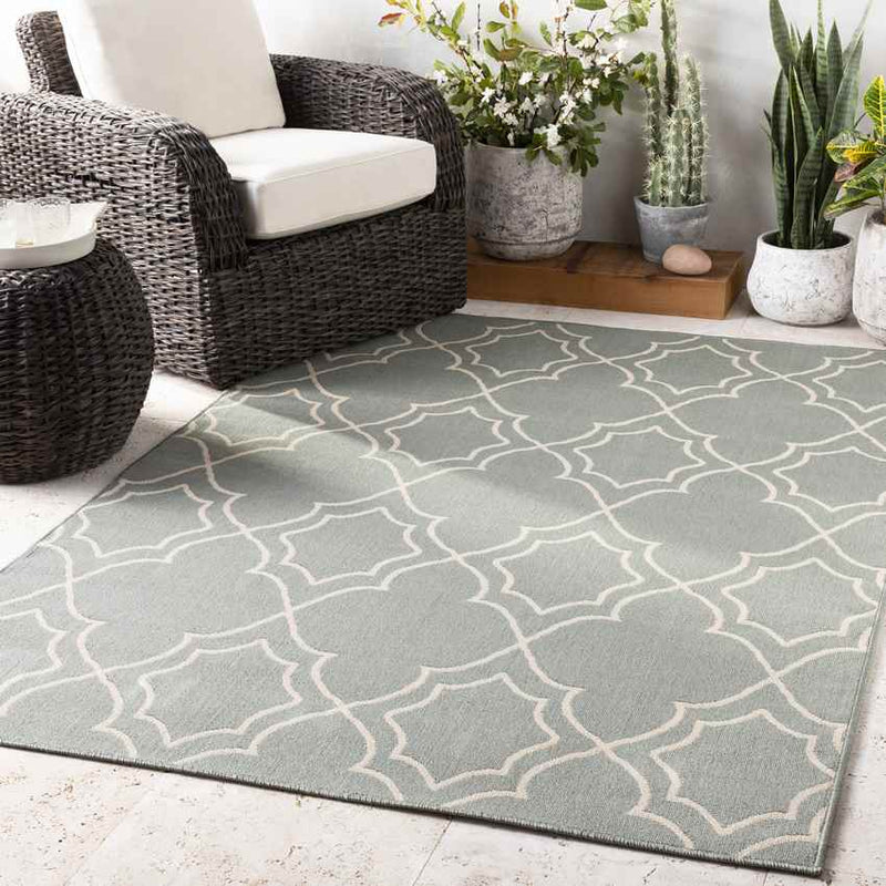 Liam Cottage Sage Area Rug