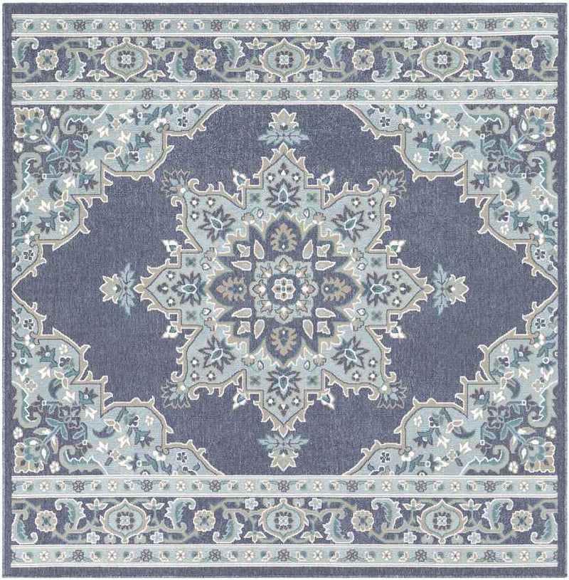 Lyla Traditional Charcoal Area Rug