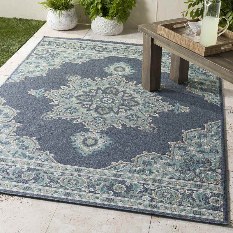 Lyla Traditional Charcoal Area Rug