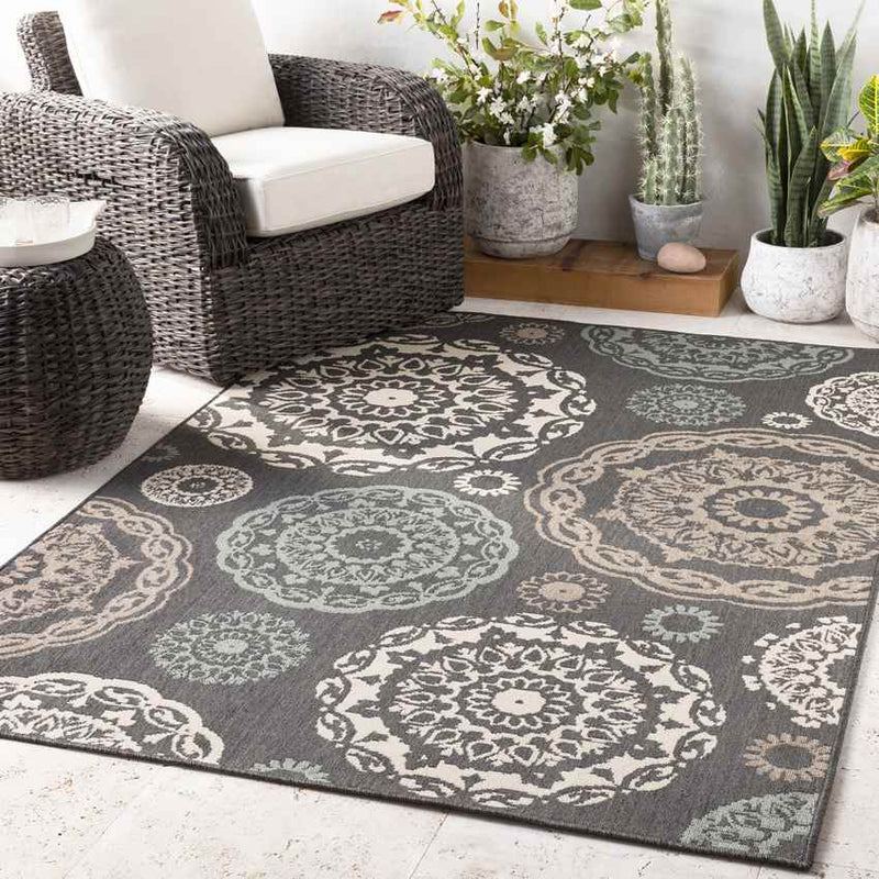 Ethan Cottage Black Area Rug