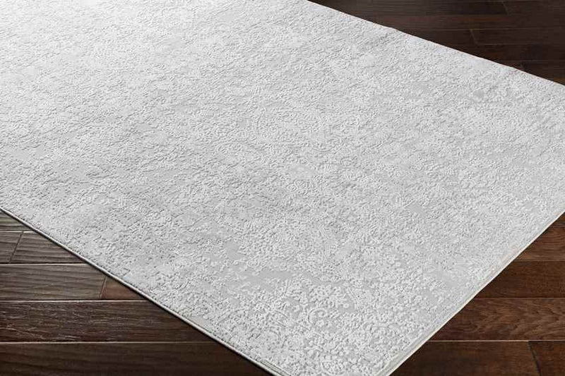 Ximena Traditional Light Gray Area Rug