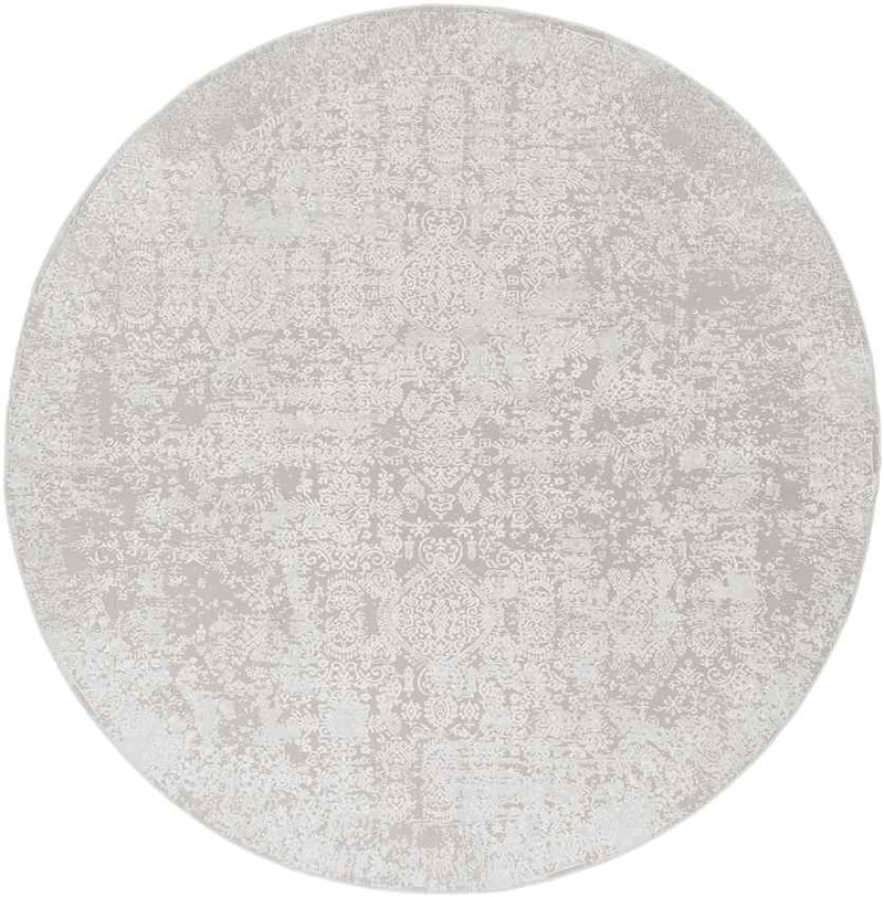 Ximena Traditional Light Gray Area Rug