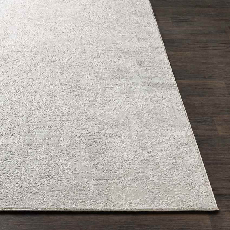 Ximena Traditional Light Gray Area Rug