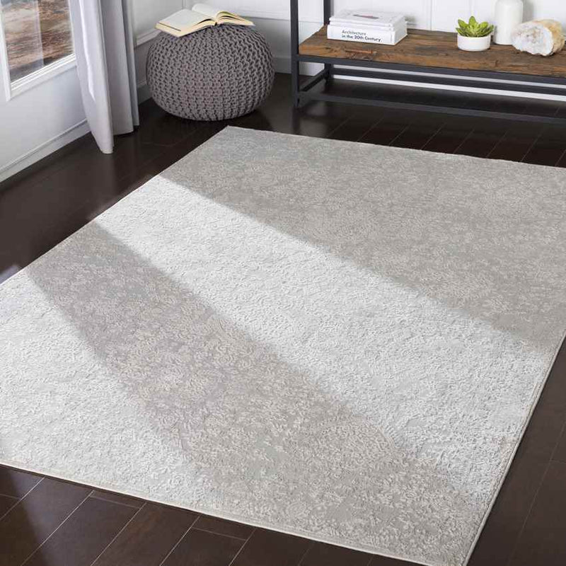 Ximena Traditional Light Gray Area Rug