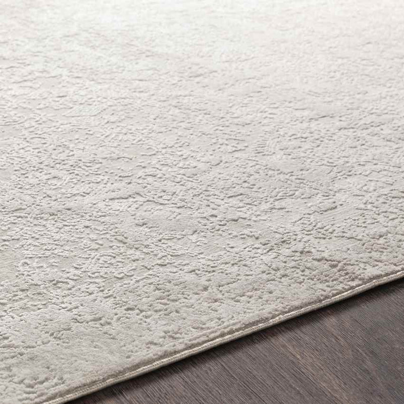 Ximena Traditional Light Gray Area Rug