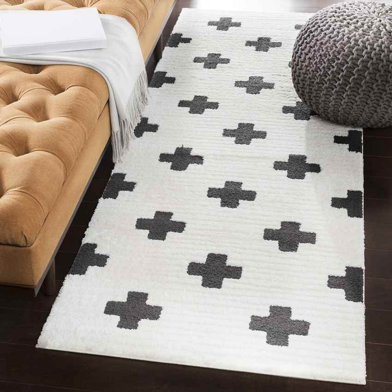 Alisa Modern Black Area Rug