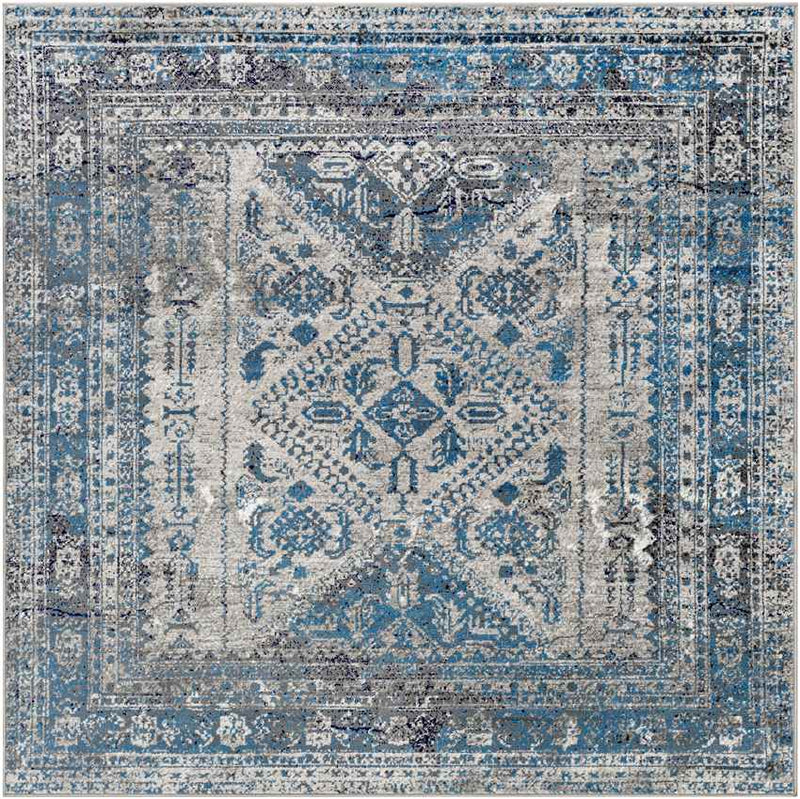 Jules Traditional Light Gray/Charcoal Area Rug