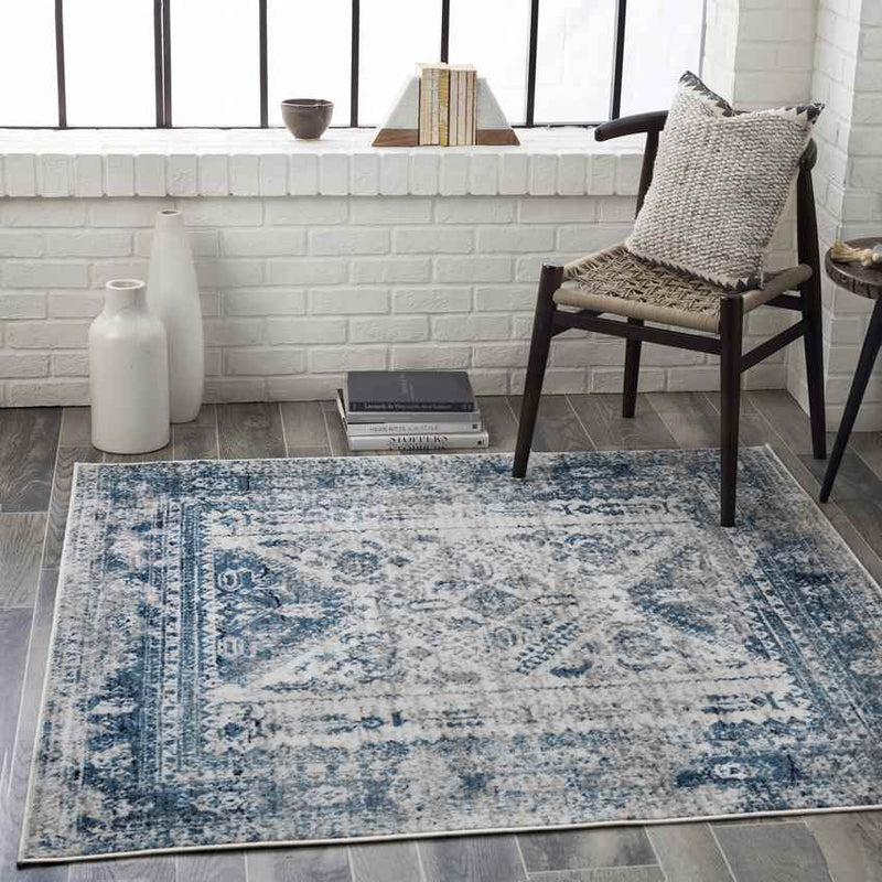 Jules Traditional Sky Blue/Light Gray/White/Navy Area Rug