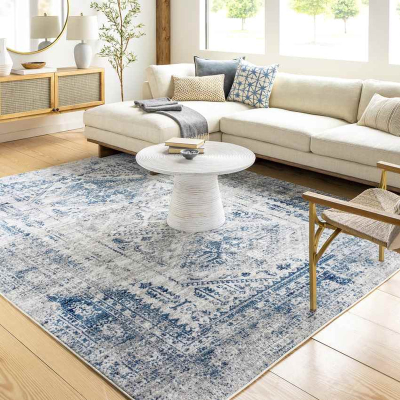 Jules Traditional Sky Blue/Light Gray/White/Navy Area Rug