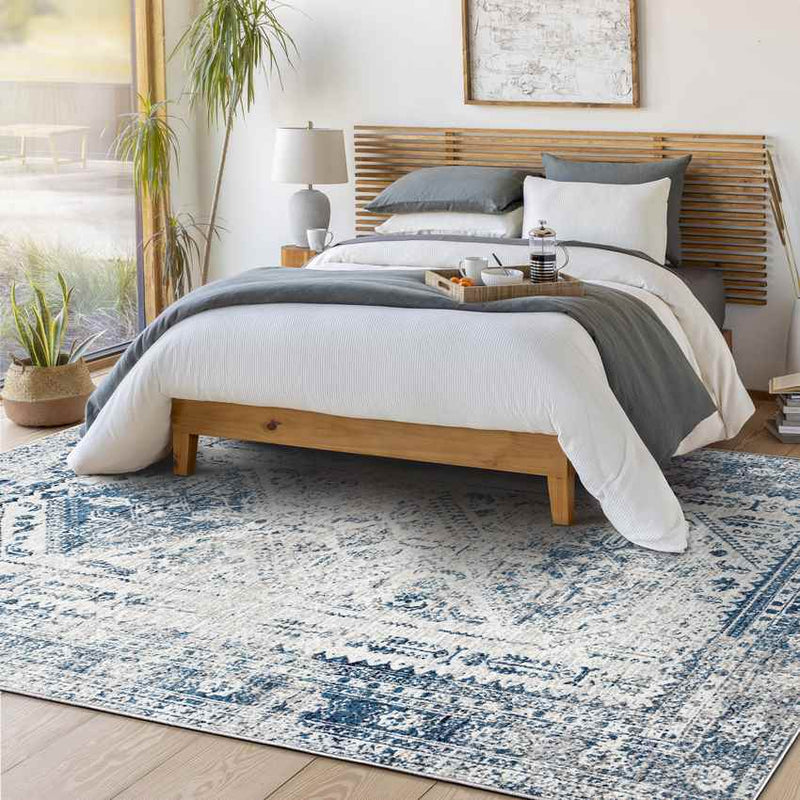 Jules Traditional Sky Blue/Light Gray/White/Navy Area Rug