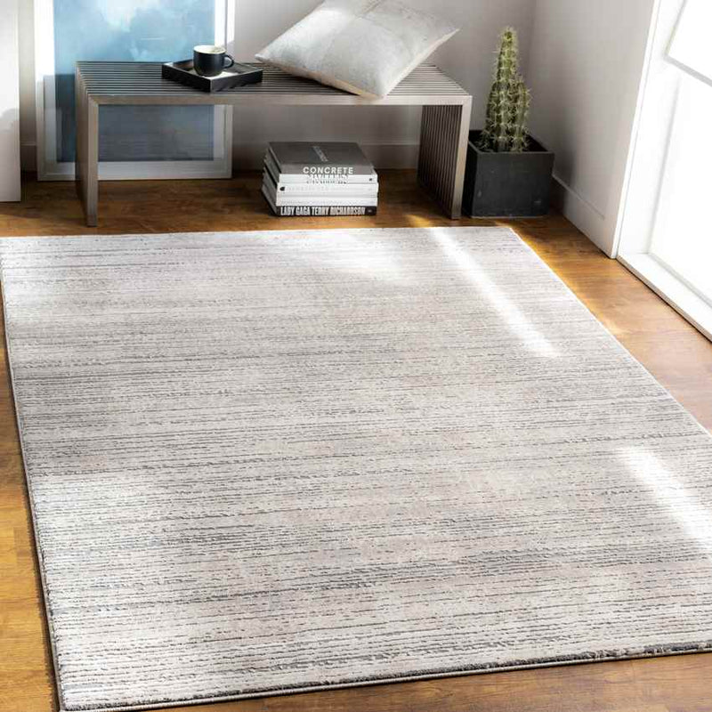 Noah Modern Gray Area Rug