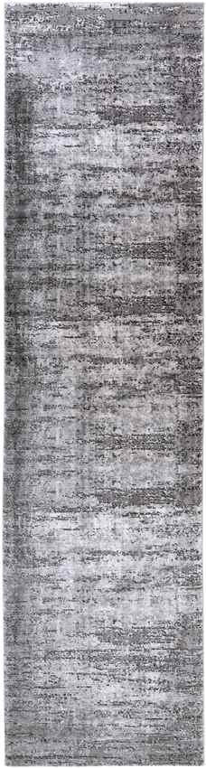 Vitoia Modern Medium Gray Area Rug