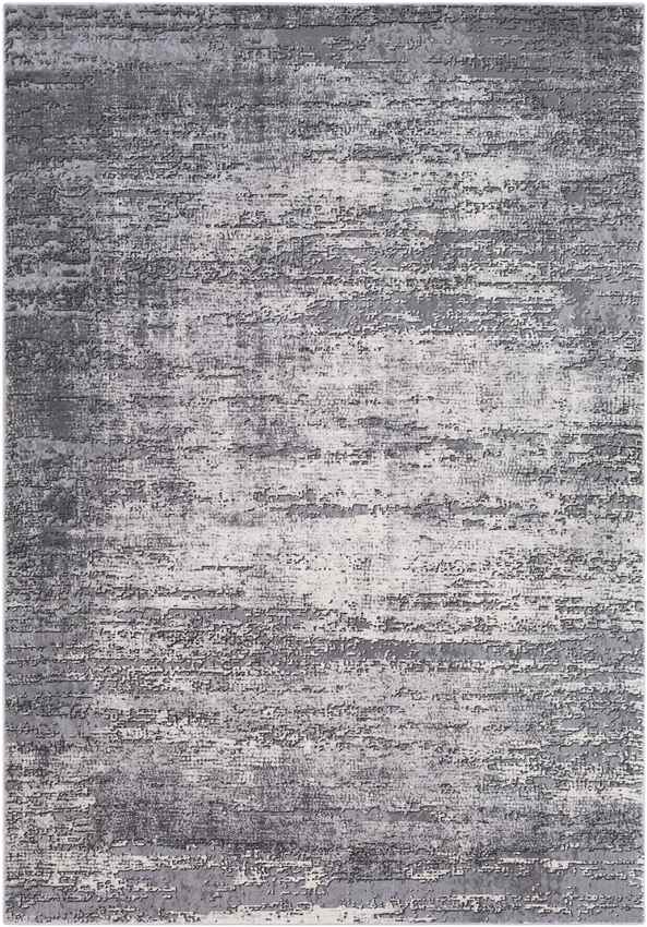 Vitoia Modern Medium Gray Area Rug