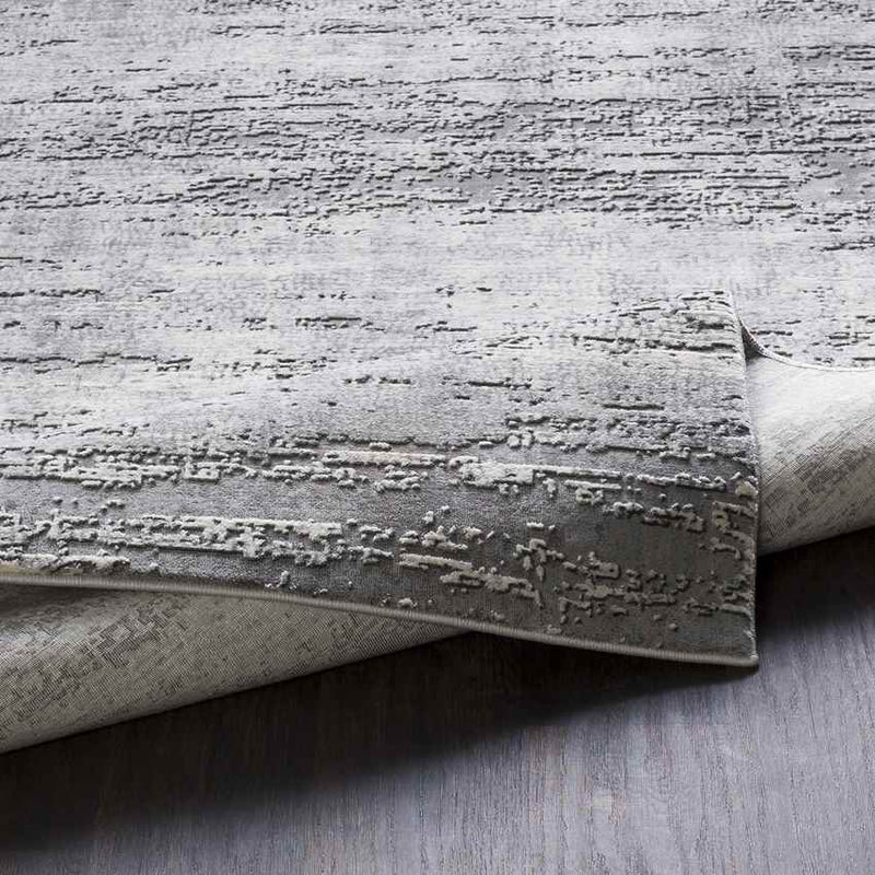 Vitoia Modern Medium Gray Area Rug