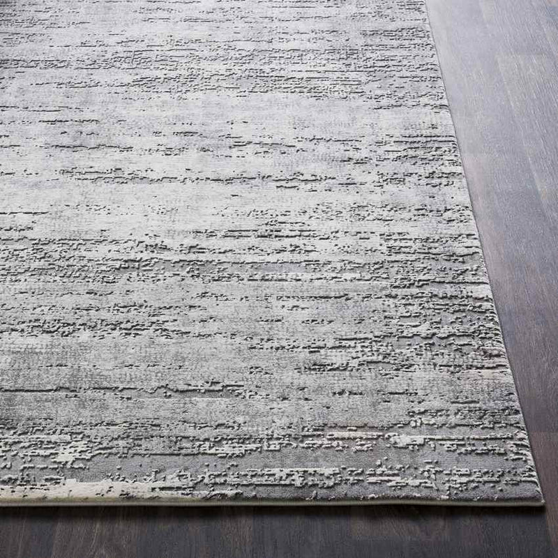 Vitoia Modern Medium Gray Area Rug