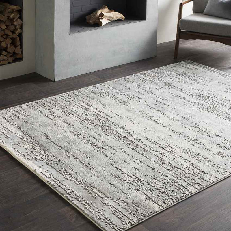 Vitoia Modern Medium Gray Area Rug