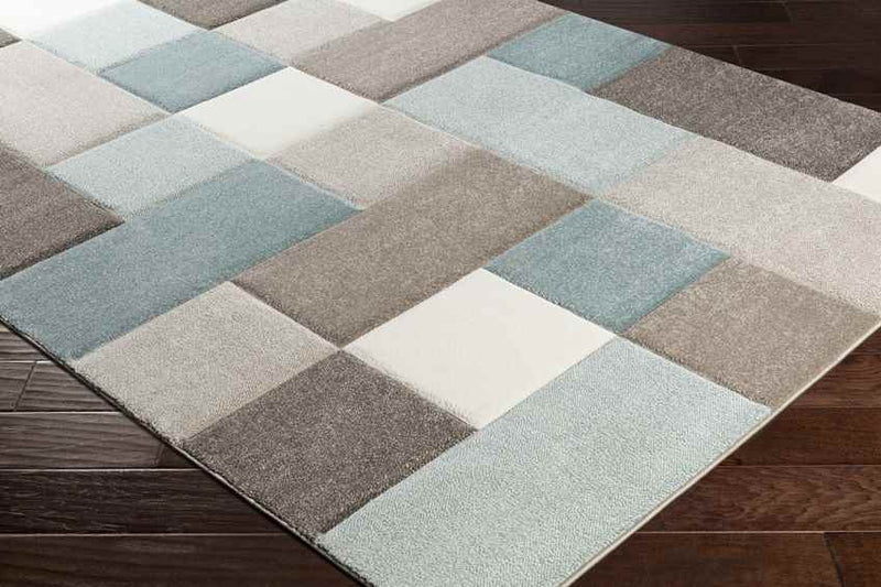 Piieet Modern Aqua Area Rug