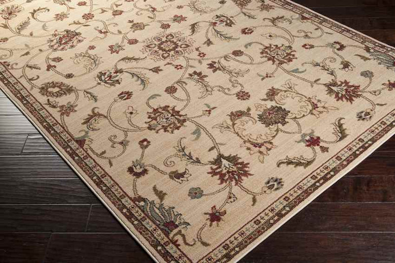 George Traditional Khaki Area Rug