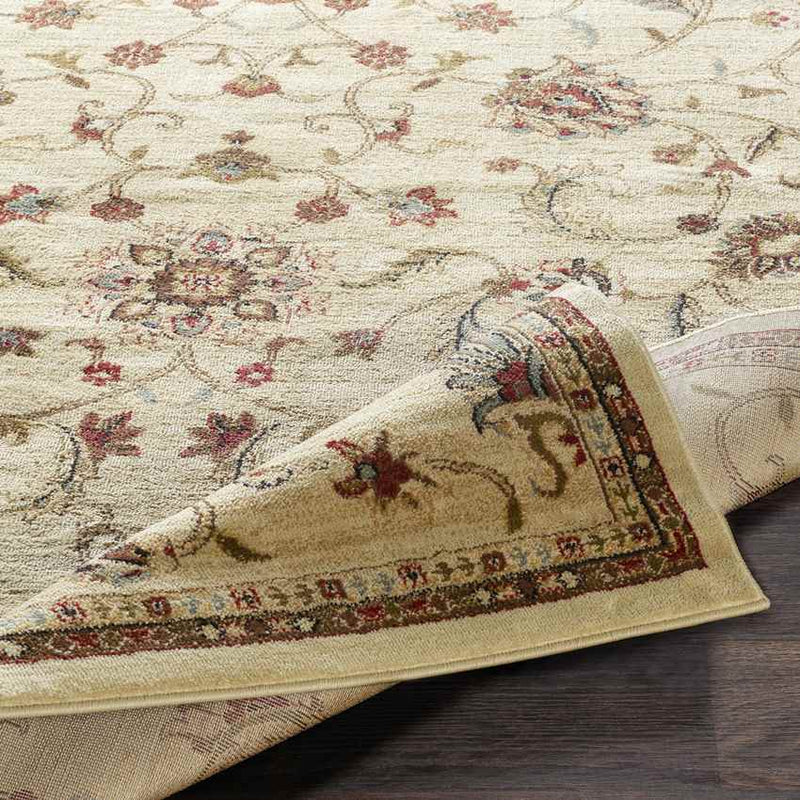 George Traditional Khaki Area Rug