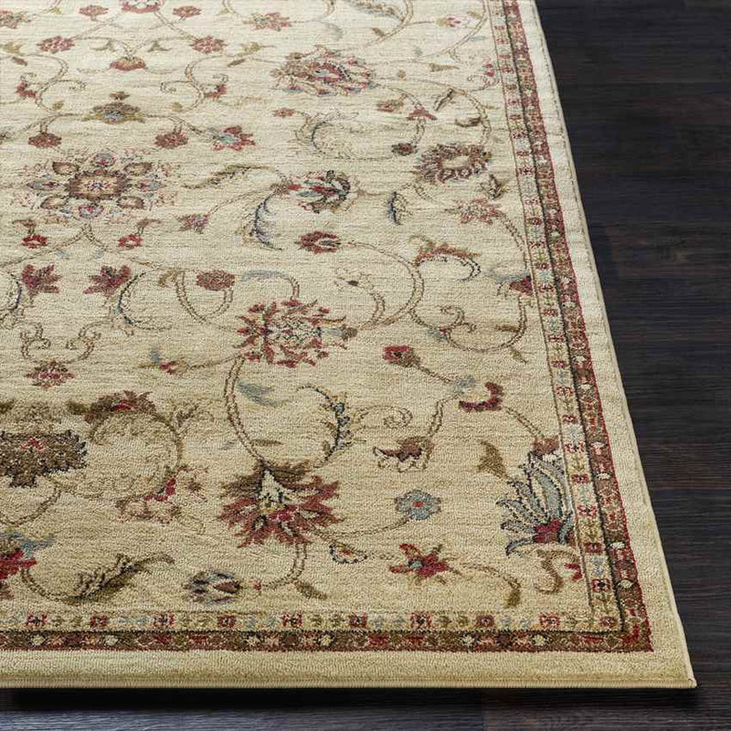 George Traditional Khaki Area Rug