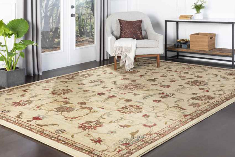 George Traditional Khaki Area Rug