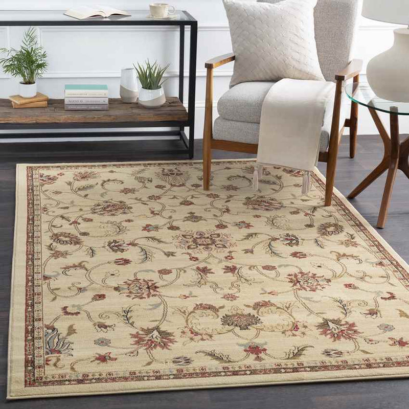 George Traditional Khaki Area Rug